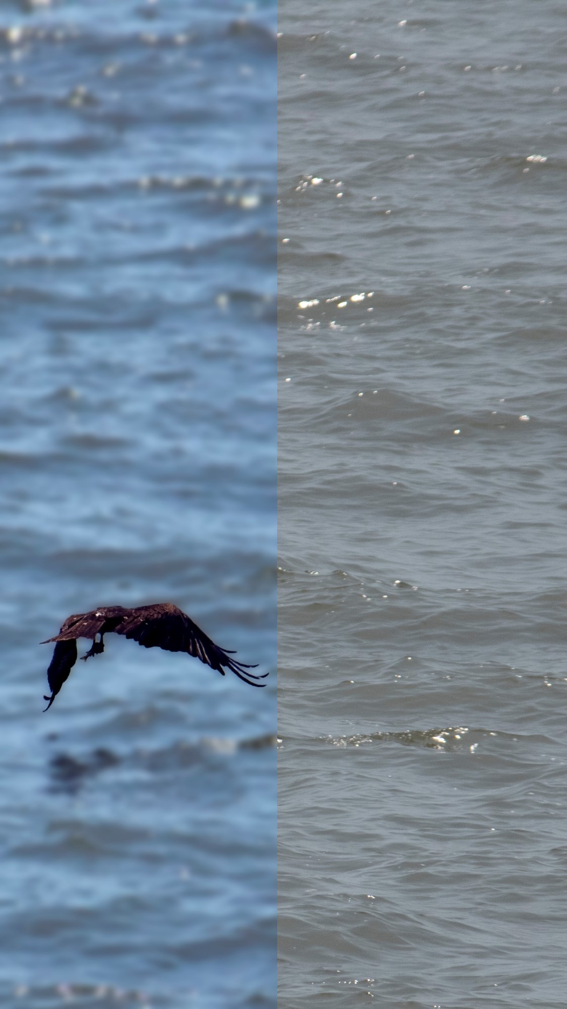 Bring out the details in the moment!